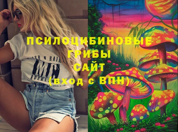 ПСИЛОЦИБИНОВЫЕ ГРИБЫ Баксан