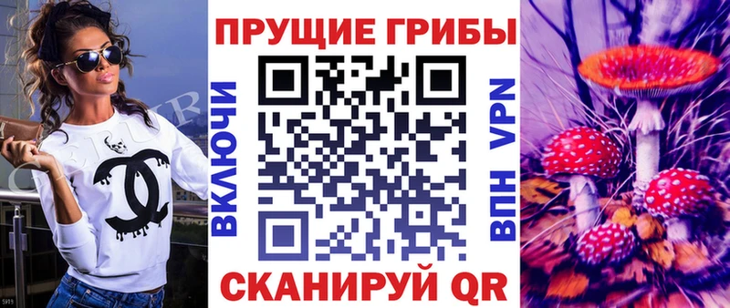 Галлюциногенные грибы Cubensis  Старая Русса 